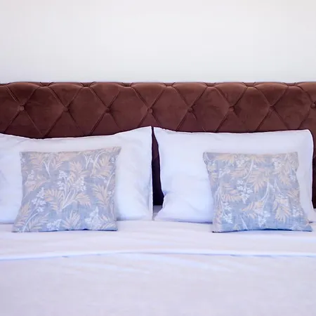 Vila Pearl- With Private Pool Blagaj