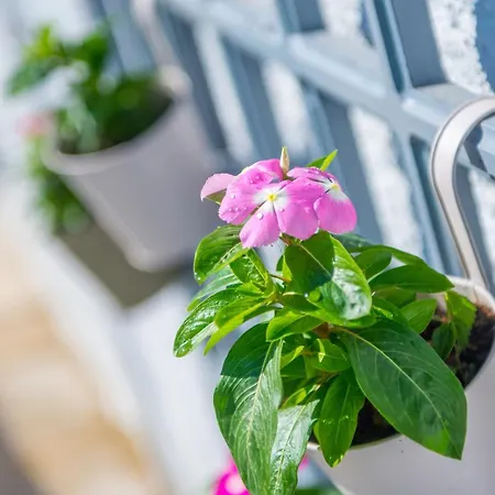 Vila Pearl- With Private Pool